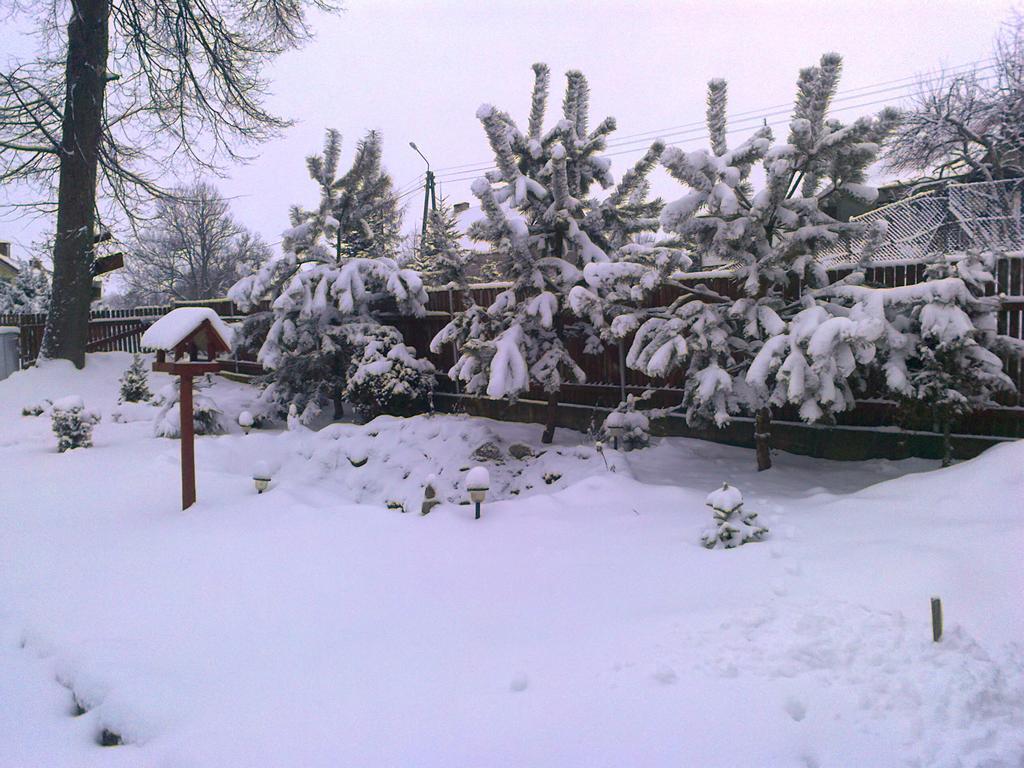 Agro-Tur Domki W Szuwarach Kuty Exterior photo